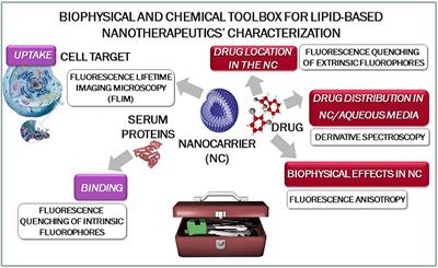 Spectroscopic Studies as a Toolbox for Biophysical and Chemical Characterization of Lipid-Based Nanotherapeutics